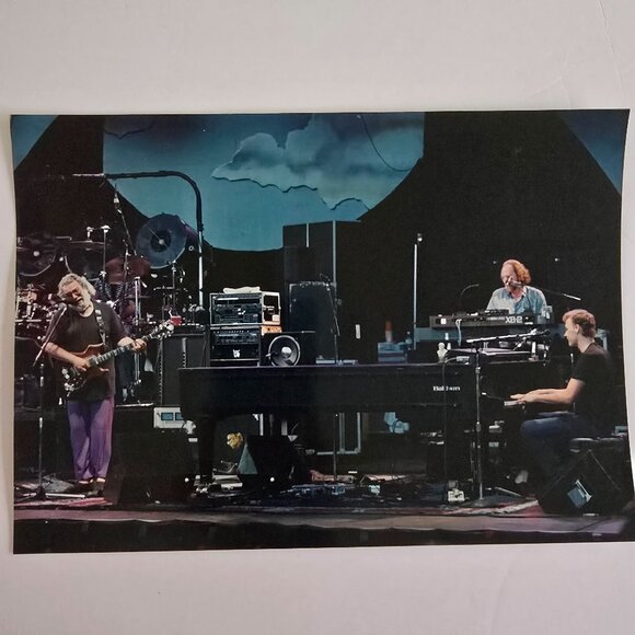 Grateful Dead Concert Photograph Licensed Rob Cohn Dead Images 8"x10" Band Perfo - Picture 12 of 14